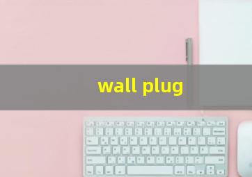 wall plug